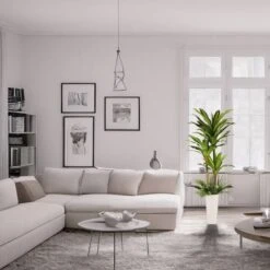 6ft. Artificial Dracaena Fragrans Tree In White Decorative Pot -Flowers Michael Store D763734S 3