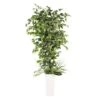 6ft. Artificial Ficus Microcarpa Tree In White Decorative Pot -Flowers Michael Store D763735S 1