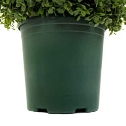 3.5ft. Pre-Lit Boxwood Spiral Topiary -Flowers Michael Store D766092S 4