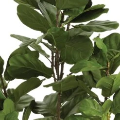 6.5ft. Fiddle Leaf Fig Tree -Flowers Michael Store D766097S 3